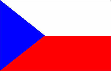 repcheca.jpg (7560 bytes)